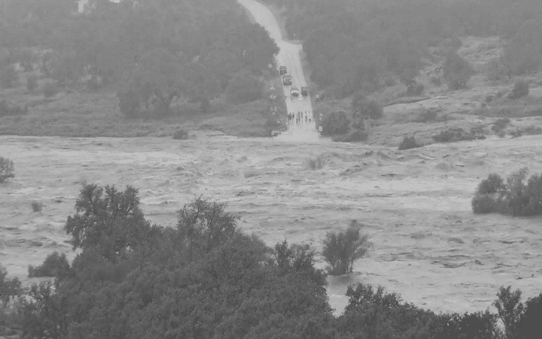 Texas Universities Assist Flood Relief Efforts